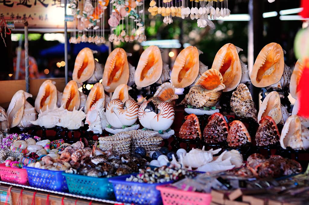 Можно ли вывозить с мальдив. Моллюски Тайланда. Ракушки в Тайланде. Сувениры Тайланда. Сувениры с Мальдив.